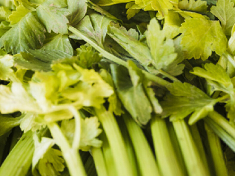 Prečo jesť stonkový zeler?