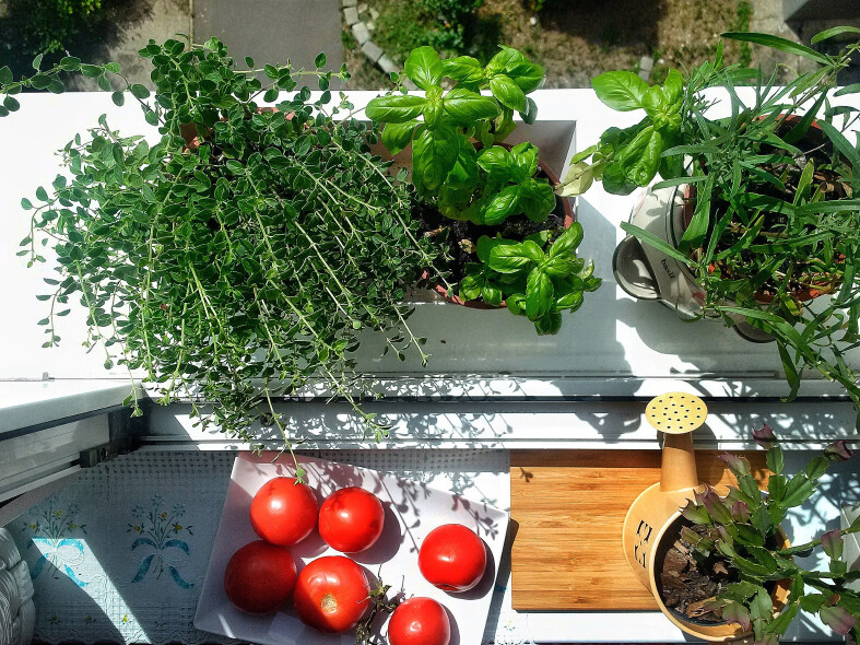 Radosť z pestovania aj bez záhrady