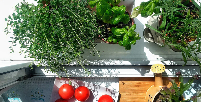 Radosť z pestovania aj bez záhrady image